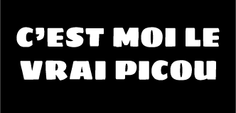 T-shirt unisexe - C'est moi le vrai Picou